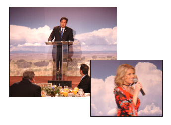 Gov_NM.jpg - 29031 Bytes
